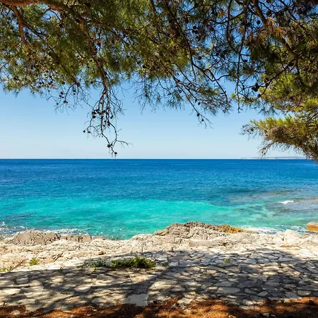 Family Vespera 호텔